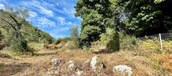 4162m² Hotel in Corfu, Greece No. 57249 17