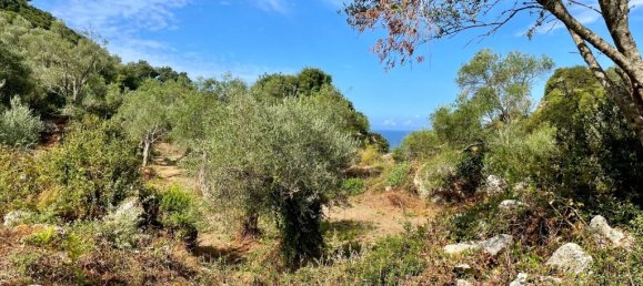 4162m² Hotel in Corfu, Greece No. 57249 18