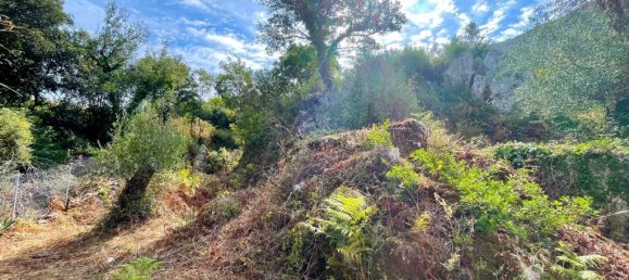 4162m² Hotel in Corfu, Greece No. 57249 14