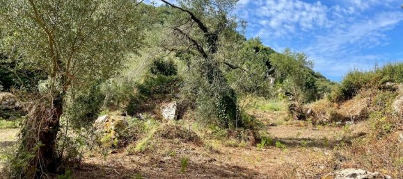 4162m² Hotel in Corfu, Greece No. 57249 13