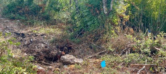 4162m² Hotel in Corfu, Greece No. 57249 10