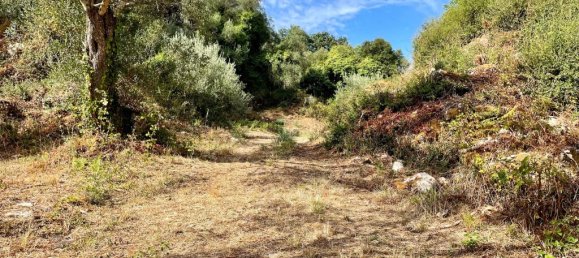 4162m² Hotel in Corfu, Greece No. 57249 20