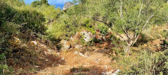 4162m² Hotel in Corfu, Greece No. 57249 22