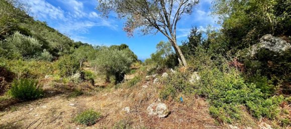 4162m² Hotel in Corfu, Greece No. 57249 11