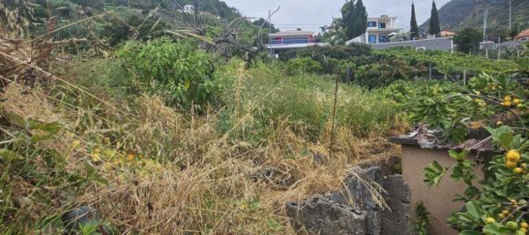 3 bedrooms House in Porto da Cruz, Portugal No. 219163 4