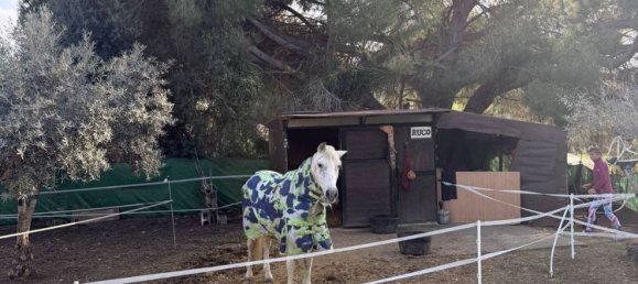 4 Schlafzimmer Haus in Coin, Spain, Nr. 154261 24