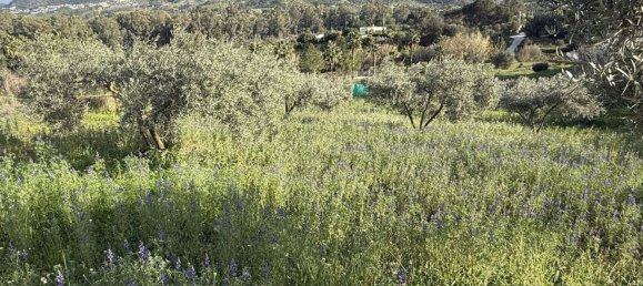 4 Schlafzimmer Haus in Coin, Spain, Nr. 154261 30