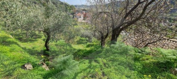 Grundstück in Savoca, Italy, Nr. 23488 43