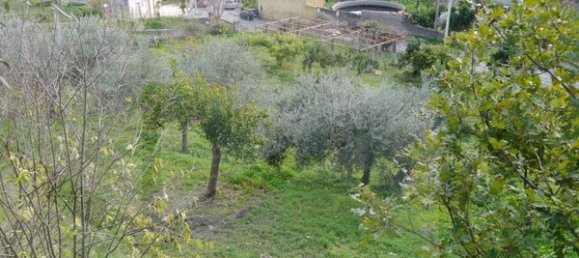 Grundstück in Savoca, Italy, Nr. 23488 19