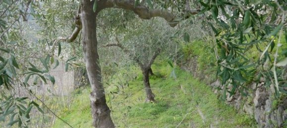 Grundstück in Savoca, Italy, Nr. 23488 20