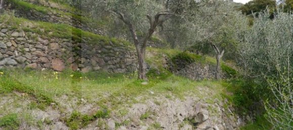 Grundstück in Savoca, Italy, Nr. 23488 50