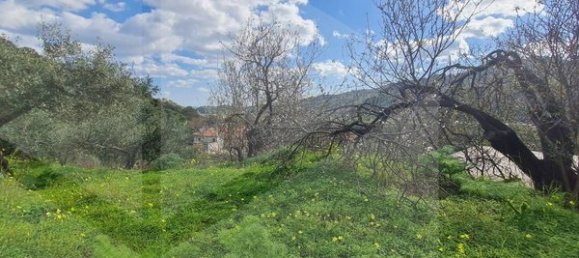 Grundstück in Savoca, Italy, Nr. 23488 21