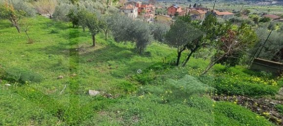 Grundstück in Savoca, Italy, Nr. 23488 18