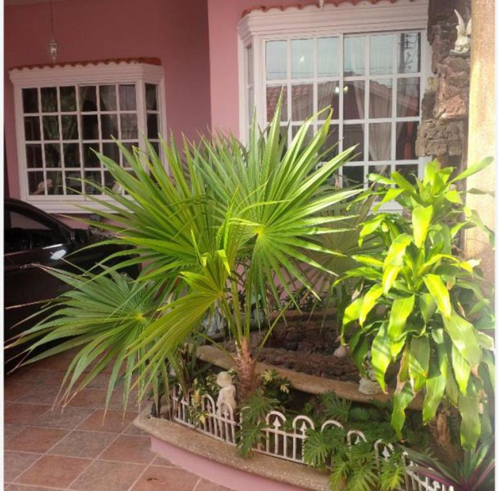 Дом с 3 спальнями в Веракрус, Мексика № 224347