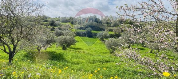 5غرفة منزل في Ragusa, Italy رقم 40794 30