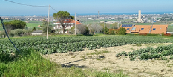 Grundstück in Coriano, Italy 1000m², Nr. 251312 3