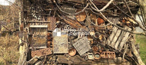 Дом с 7 комнатами в Бургауберг-Нойдауберг, Австрия № 111635 23