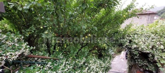 3 Schlafzimmer Wohnung in Arezzo, Italy, Nr. 207344 5