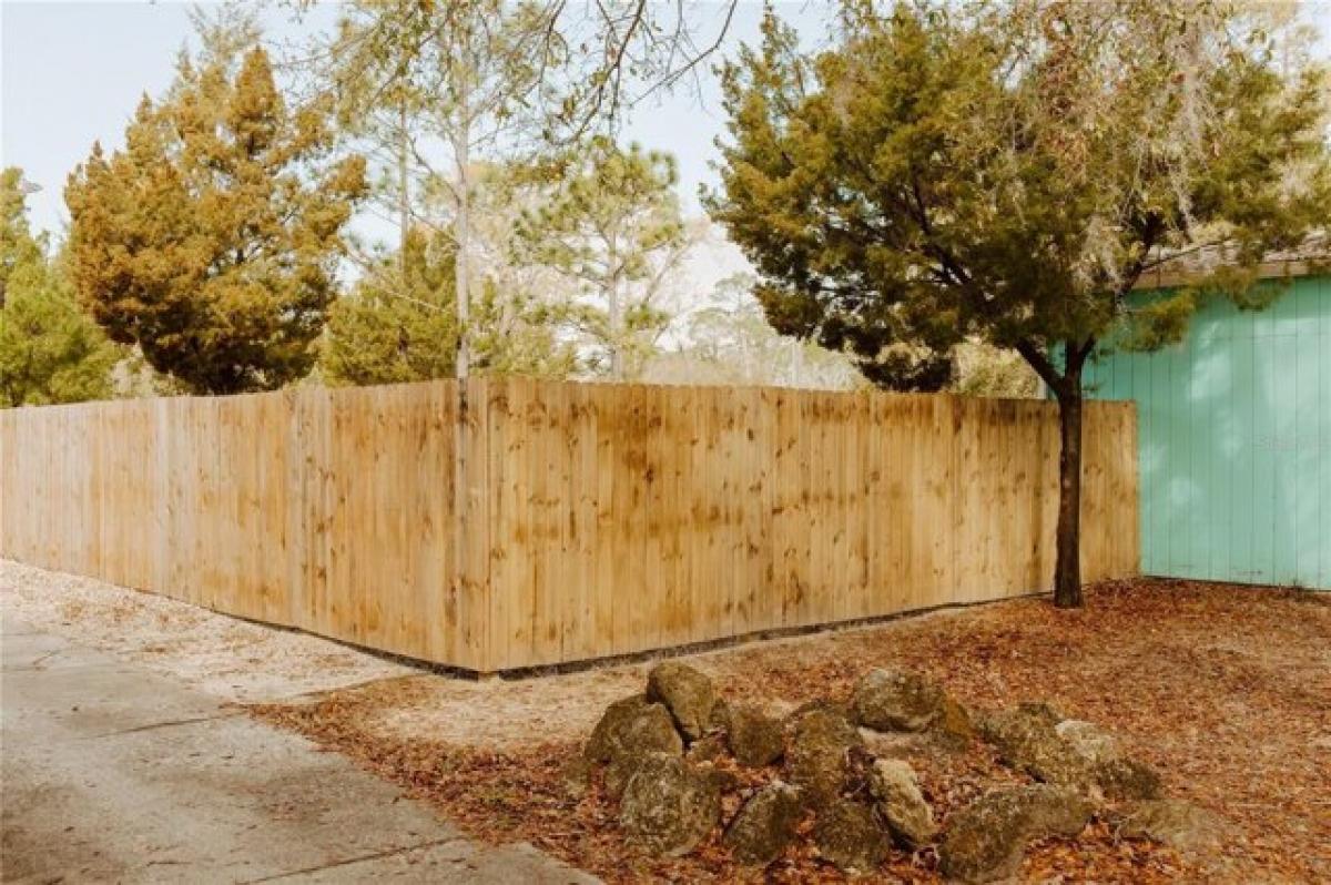 4 bedrooms House in Steinhatchee, USA No. 419296