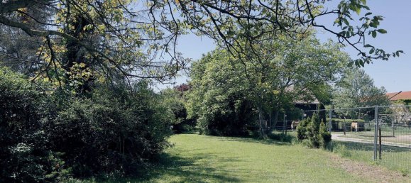 3-salle Maison à Gross-Enzersdorf, Austria No. 197373 14