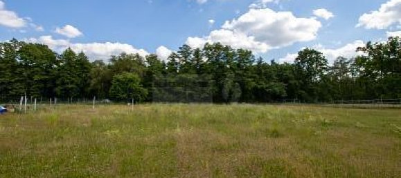 3330m² Land in Wittenberg, Germany No. 344664 4