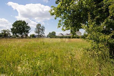 3330m² Land in Wittenberg, Germany No. 344664