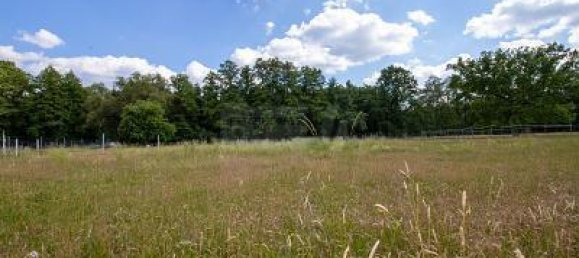 3330m² Land in Wittenberg, Germany No. 344664 2