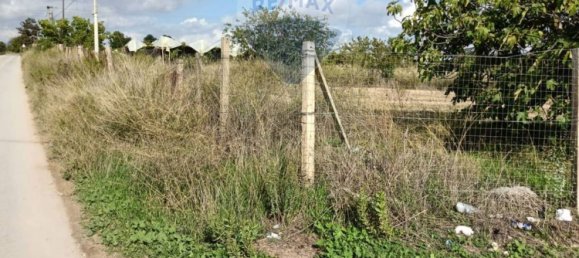 29481m² Land in Licodia Eubea, Italy No. 144354 4