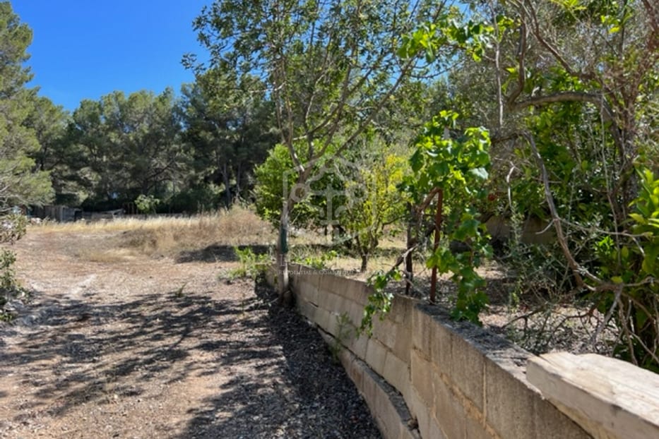 Grundstück in Santa Ponsa, Spain, Nr. 16440