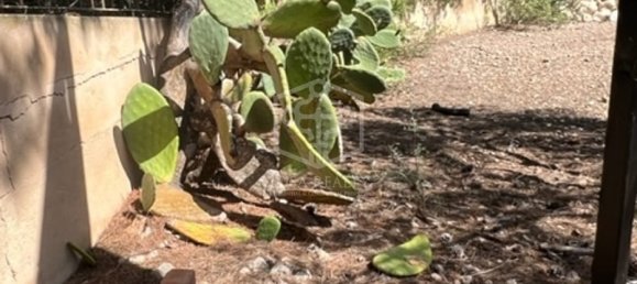 Grundstück in Santa Ponsa, Spain, Nr. 16440 5