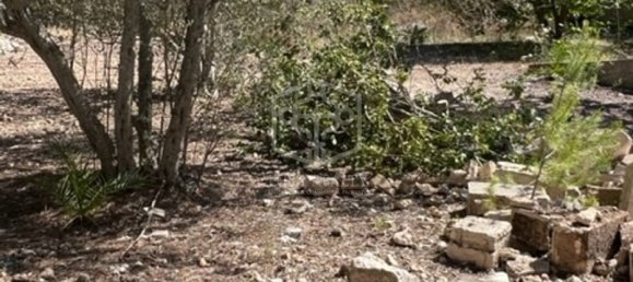 Grundstück in Santa Ponsa, Spain, Nr. 16440 6