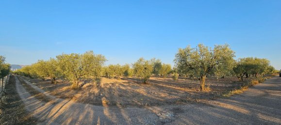 44000m² Land in San Severo, Italy No. 302757 4