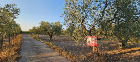 44000m² Land in San Severo, Italy No. 302757 2