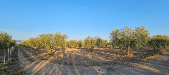 44000m² Land in San Severo, Italy No. 302757 3