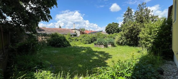  Land in Engelhartstetten, Austria No. 130558 12