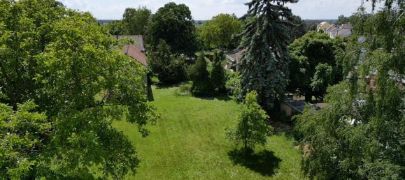  Land in Engelhartstetten, Austria No. 130558 6