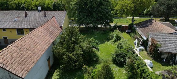  Land in Engelhartstetten, Austria No. 130558 5