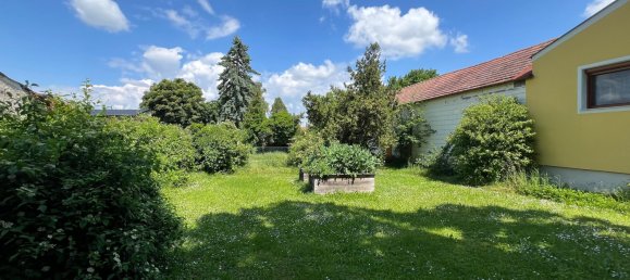  Land in Engelhartstetten, Austria No. 130558 11