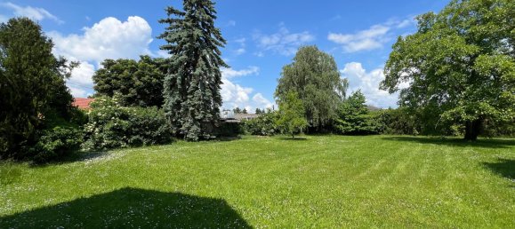  Land in Engelhartstetten, Austria No. 130558 13