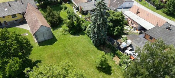  Land in Engelhartstetten, Austria No. 130558 10