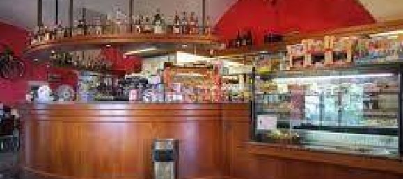 1 room Commercial property in Lucca, Italy No. 25685 11