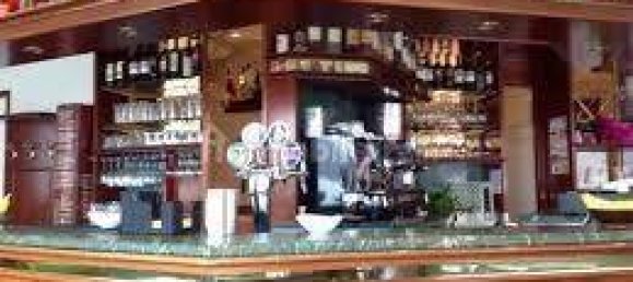 1 room Commercial property in Lucca, Italy No. 25685 8