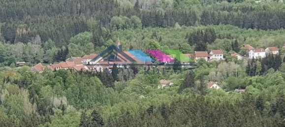 4 Schlafzimmer Haus in Vexaincourt, France, Nr. 86523 10