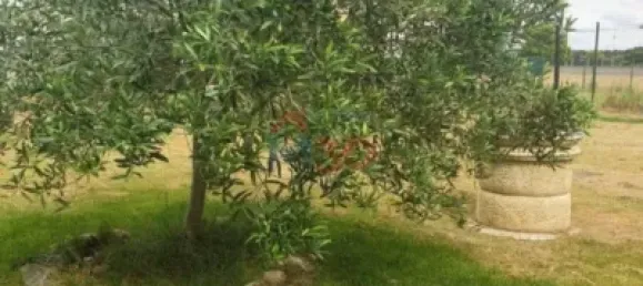 Casa T4 em Alava, Spain N.º 145361 24