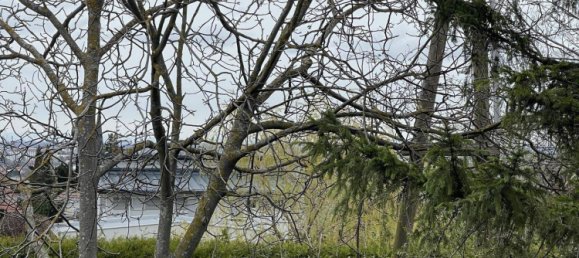 4-Zimmer Haus in Brunn am Gebirge, Austria, Nr. 142017 27