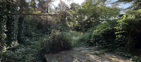 4-Zimmer Haus in Brunn am Gebirge, Austria, Nr. 142017 6