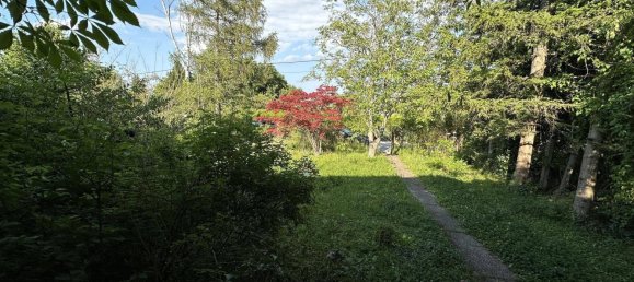 4-Zimmer Haus in Brunn am Gebirge, Austria, Nr. 142017 7