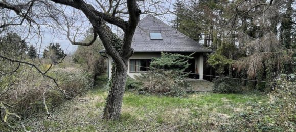 4-Zimmer Haus in Brunn am Gebirge, Austria, Nr. 142017 22