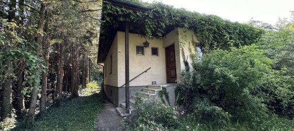 4-Zimmer Haus in Brunn am Gebirge, Austria, Nr. 142017 4