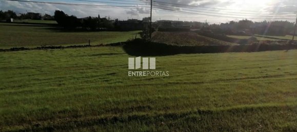 Terrain à Barcelos, Portugal 1817m² No. 32961 7